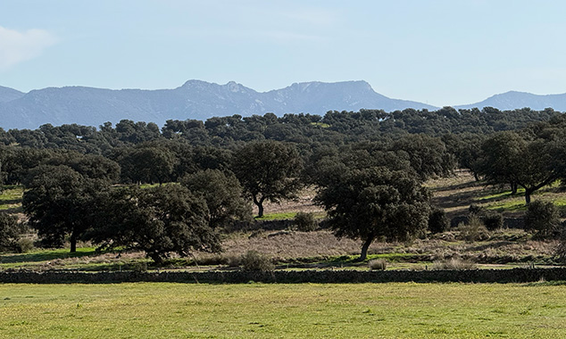 La-dehesa-de-cordoba